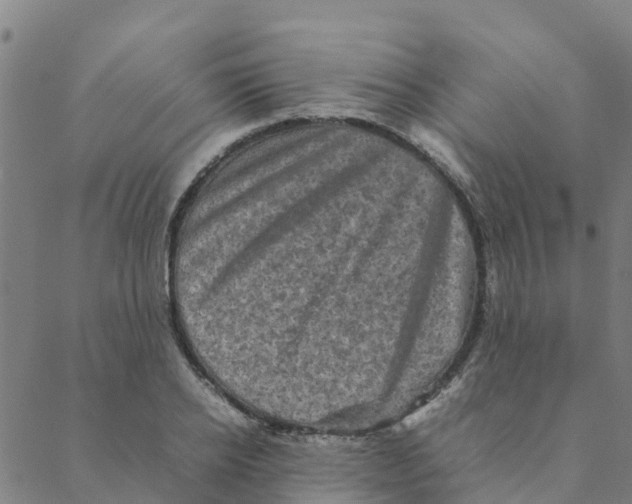 X0000088400934200706191354