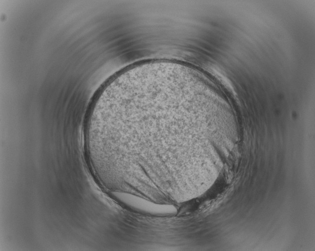 X0000088400936200706191354