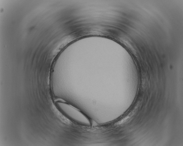 X0000088400938200706191354