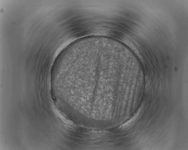 X0000088400939200706191354