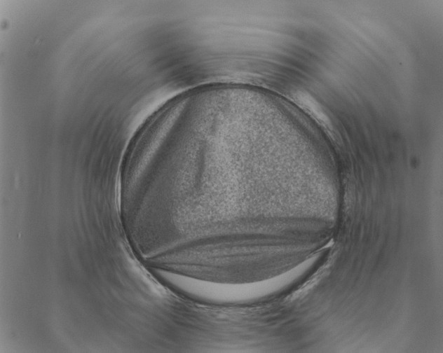 X0000088400940200706191354