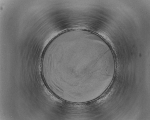 X0000088400941200706191354