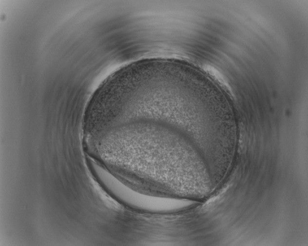 X0000088400942200706191354