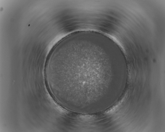 X0000088400943200706191354