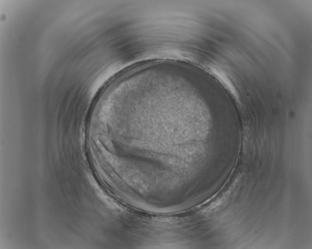 X0000088400944200706191354