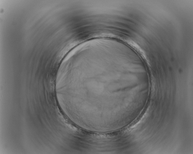 X0000088400945200706191354