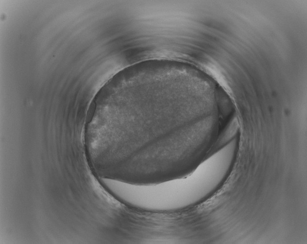 X0000088400946200706191354