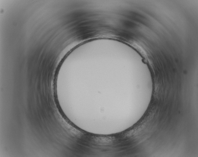 X0000088400947200706191354