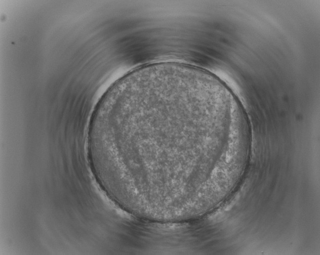 X0000088400949200706191354