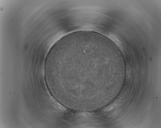 X0000088400950200706191354