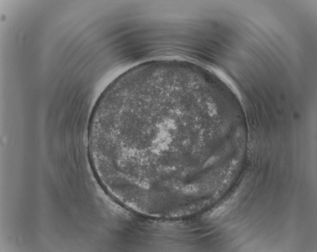 X0000088400951200706191354