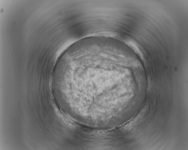 X0000088400952200706191354