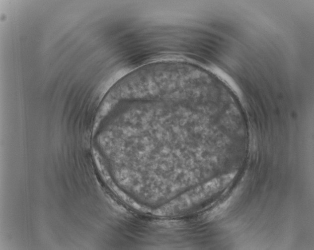 X0000088400953200706191354