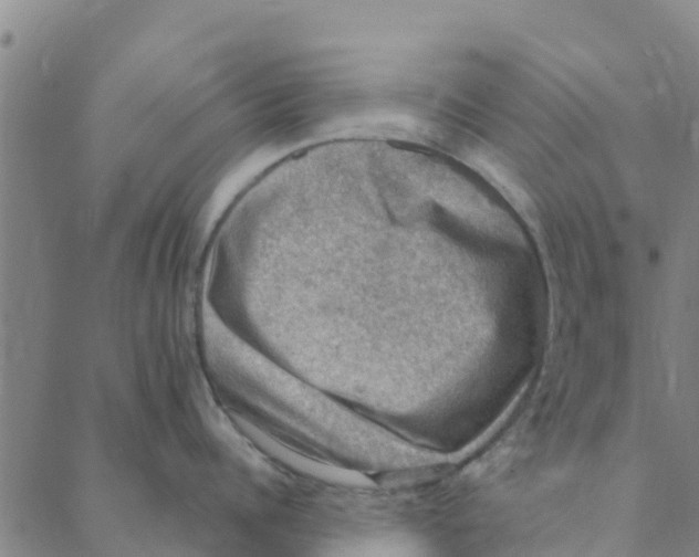 X0000088400960200706191354