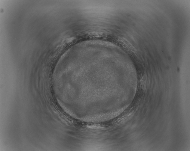 X0000088400961200706191353