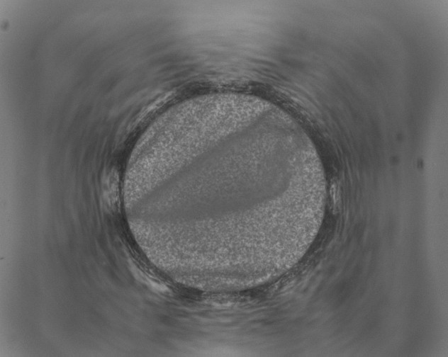 X0000088400963200706191353