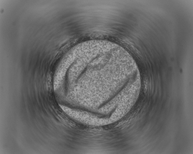 X0000088400964200706191353