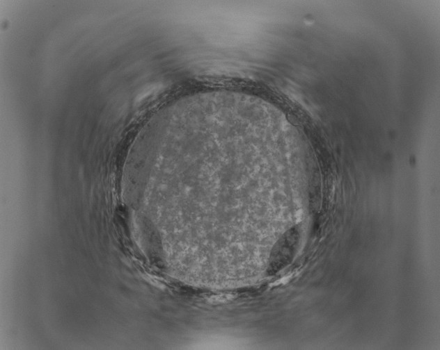 X0000088400965200706191353