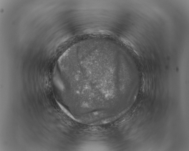 X0000088400966200706191353