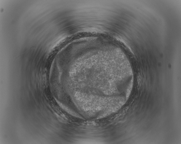 X0000088400968200706191353