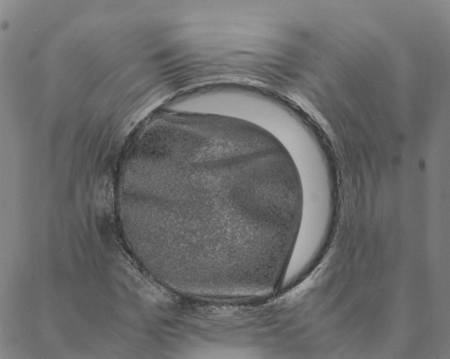 X0000088400969200706191353