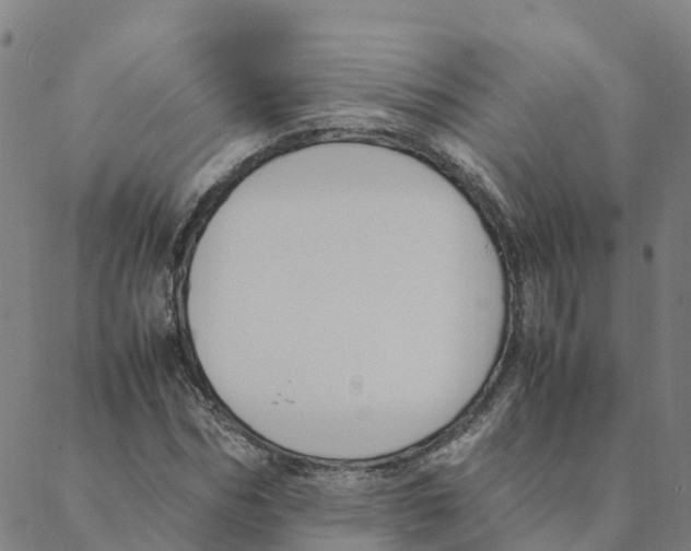 X0000088400970200706191353