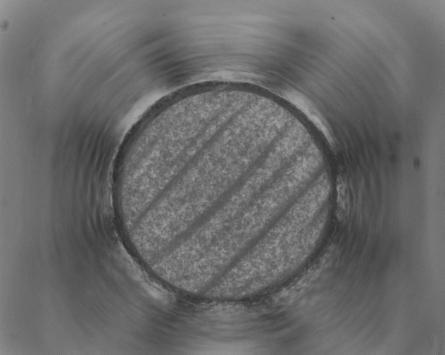 X0000088400972200706191353