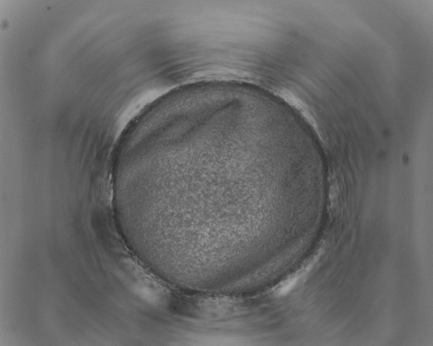 X0000088400973200706191353