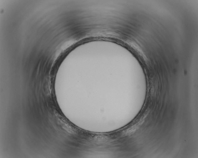 X0000088400974200706191353