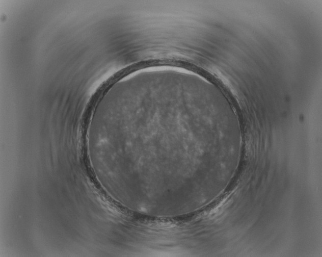 X0000088400975200706191353