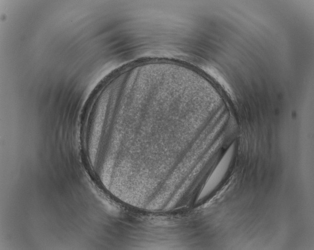 X0000088400976200706191353