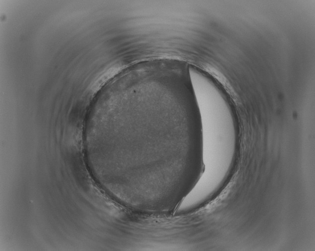 X0000088400977200706191353