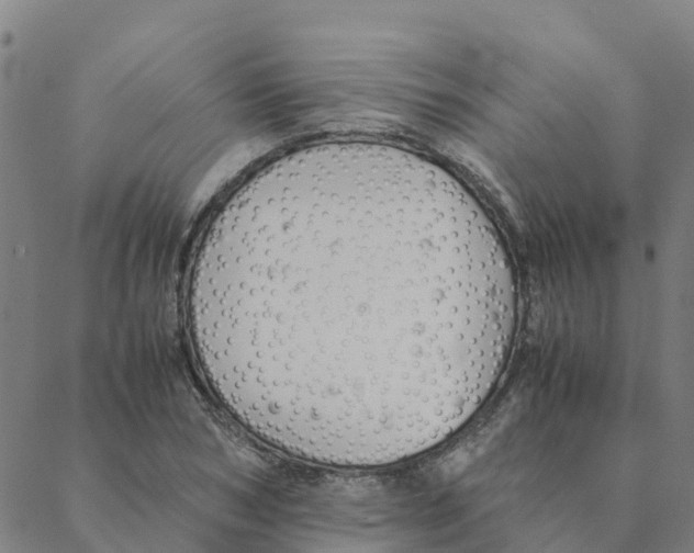 X0000088400978200706191353