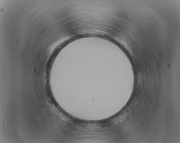 X0000088400979200706191353