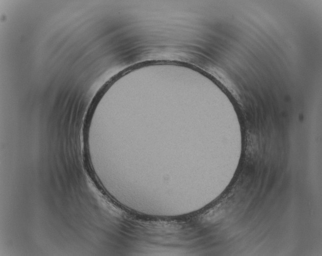 X0000088400980200706191353