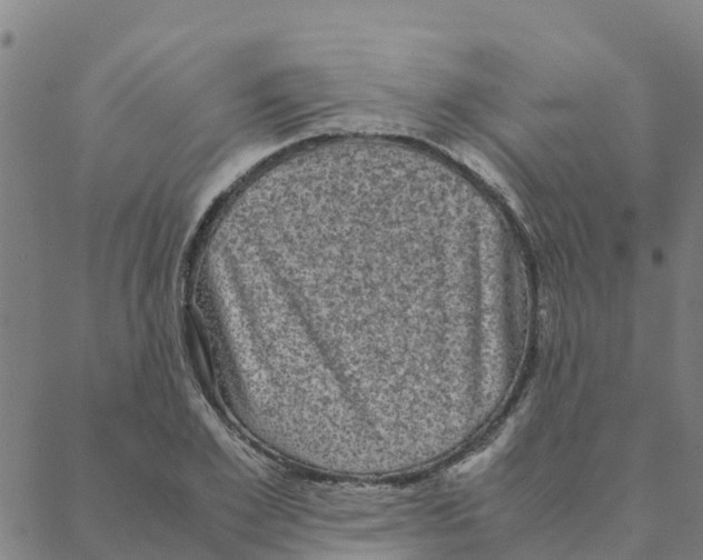 X0000088400981200706191353