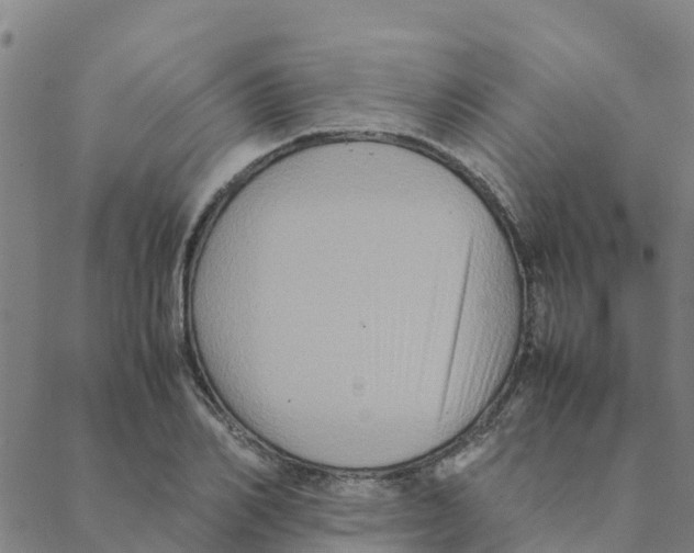 X0000088400982200706191353