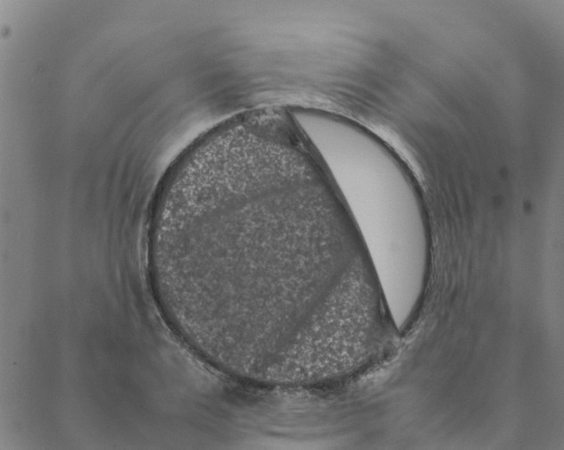 X0000088400983200706191353