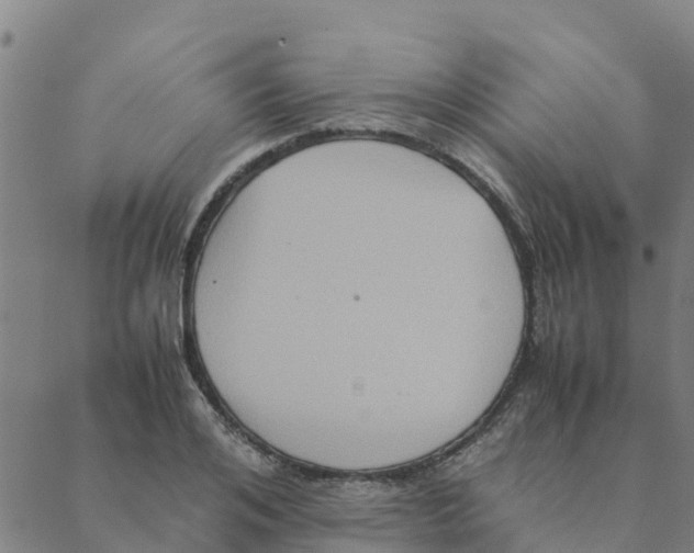 X0000088400984200706191353