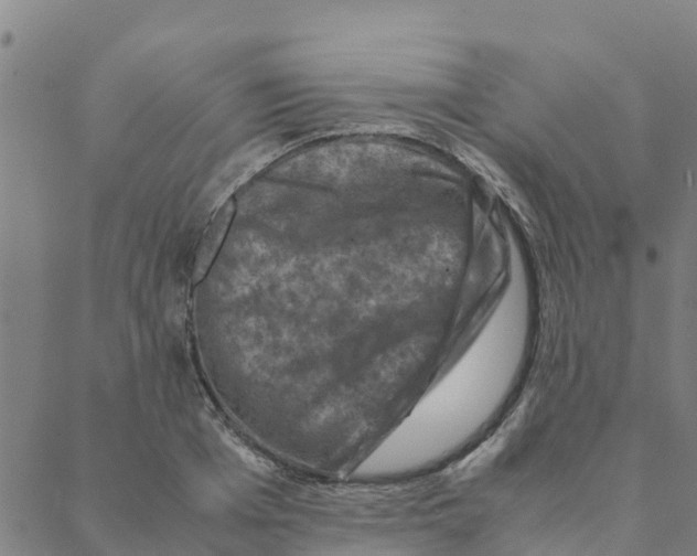 X0000088400985200706191353