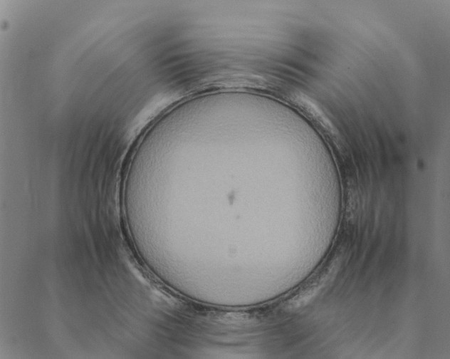 X0000088400986200706191353