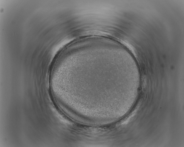 X0000088400987200706191353