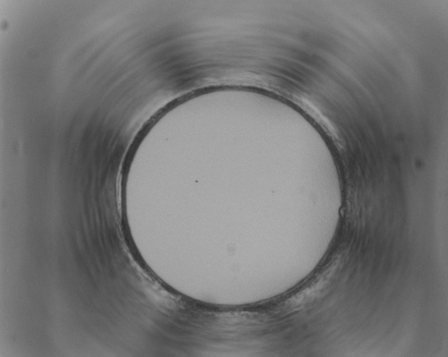 X0000088400988200706191353