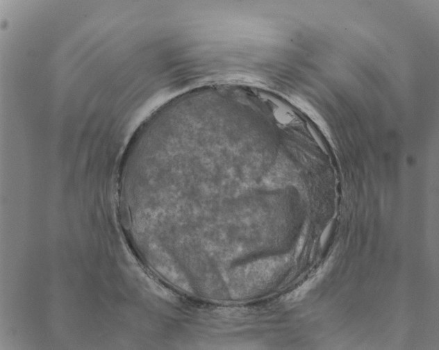 X0000088400989200706191353