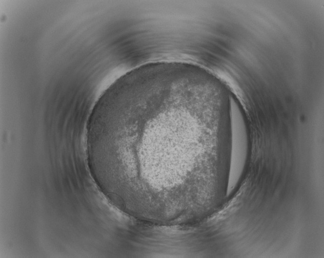 X0000088400990200706191353