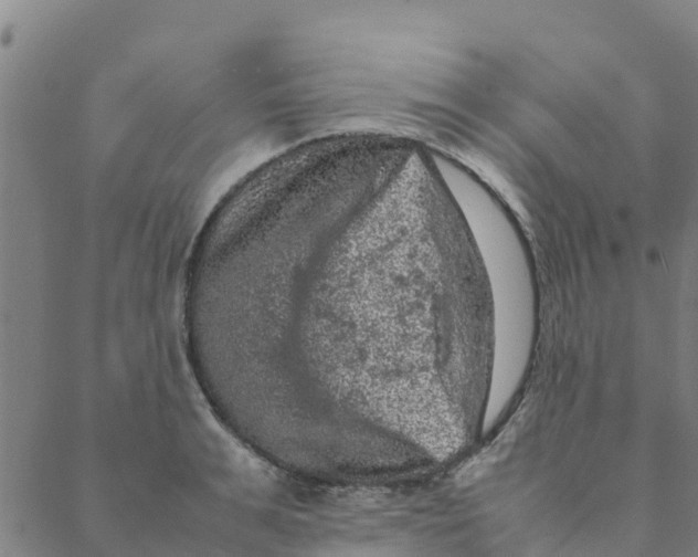 X0000088400991200706191353