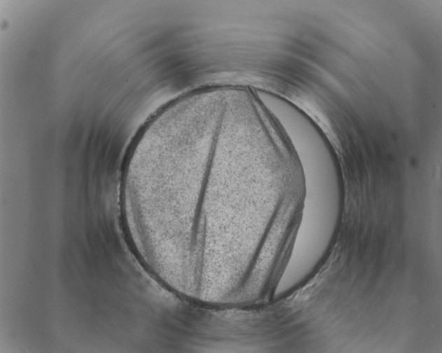 X0000088400992200706191353