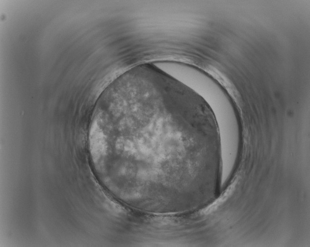 X0000088400993200706191353