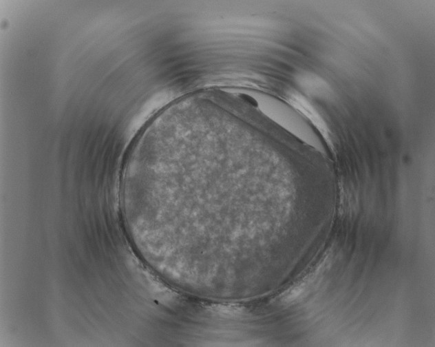 X0000088400994200706191353