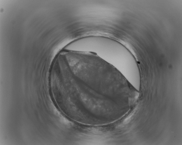 X0000088400995200706191353